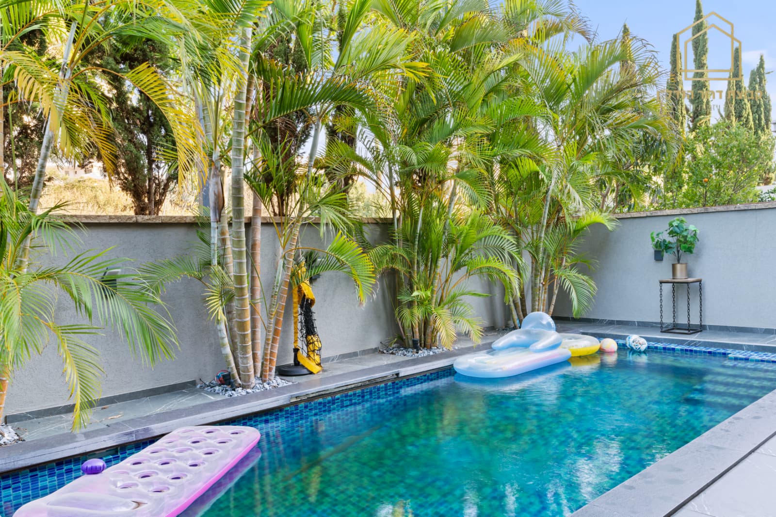 WhatsApp Image 2025-12-18 at 12.19.45